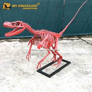 <span class=keywords><strong>Esqueleto</strong></span> <span class=keywords><strong>de</strong></span> <span class=keywords><strong>dinosaurio</strong></span> <span class=keywords><strong>de</strong></span> fibra <span class=keywords><strong>de</strong></span> vidrio fósil <span class=keywords><strong>de</strong></span> resina My Dino con nuevo estilo <span class=keywords><strong>Velociraptor</strong></span> rosa para - Product Image 4