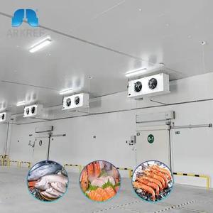 Cámara Frigorífica Grande para Logística, Equipo de Congelación, Almacenamiento <span class=keywords><strong>en</strong></span> Frío - Product Image 3