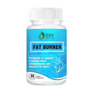 OEM ODM Fat Burner Capsules with Heat Treated Bifidobacterium support healthy waist to crush cravings body balance Capsules - Product Image 1