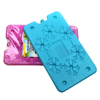 Mini glacière en plastique personnalisable, mignonne, isolée, pour la pêche alimentaire, pour les activités de plein air, couleur personnalisée, PP PE