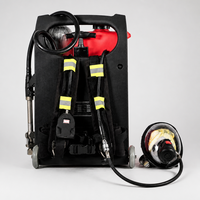 Dispositif portable de lutte contre les incendies à dos, avec cylindre de gaz comprimé et masque intégral, pour la lutte contre les incendies en forêt et en entrepôt