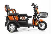 Tricycle électrique à trois roues de haute qualité, durable, de fabrication chinoise, nouveau modèle, 600W, 800W, moteur 1000W, vente en gros