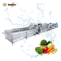 Machine industrielle de nettoyage des fruits et légumes, laveuse à bulles pour carottes, tomates, légumes-feuilles et radis