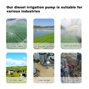 Pompa Motore Diesel <span class=keywords><strong>per</strong></span> <span class=keywords><strong>Irrigazione</strong></span> 100m Hea 12hp 100 Hp 10hp 12 Hp Pompa Acqua con Motore Diesel Montata su Rimorchio - Product Image 4