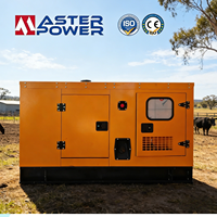 Générateur diesel Ricardo 60 kW 75 kVA au meilleur prix avec alternateur en cuivre pur et canopy, alimentation de secours extérieure