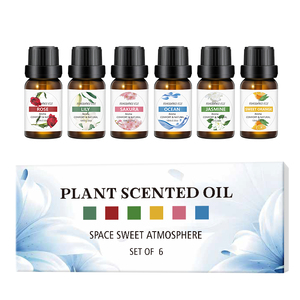 <span class=keywords><strong>Diffusore</strong></span> di Aromi Personalizzato OEM in Confezione Privata, Olio Essenziale in Offerta - Product Image 1