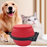 Bol pour chien portable pliable en TPE, double bol pour nourriture et eau, voyage en plein air, camping, randonnée, léger, vente en gros