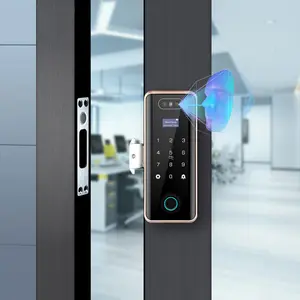 Serrure biométrique de porte en verre sans cadre à empreintes digitales, ce verrou de sécurité intelligent comprend un mot de passe, reconnaissance faciale et application wifi Tuya