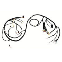 Harness Kabel Otomotif Kustom dengan Isolasi Nylon/PBT Berperingkat IP65 Layanan OEM/ODM untuk Aplikasi Otomotif & Komputer