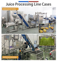 0,5-5T/H Fruitpersmachine voor mango, limoen, appel en ananas sap.