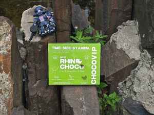 Cioccolato Nero al Gusto di Menta Rhino Choco & Packaging, Vendita Calda negli USA, per Royal <span class=keywords><strong>Vip</strong></span> Choco - Product Image 2
