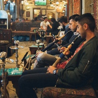 Chicha arabe, verte, délicate, chicha ALPHA en acier inoxydable de taille moyenne à une seule tige