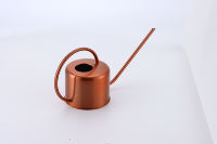 Bidon d'eau extérieur et intérieur en acier inoxydable en métal avec long bec pour le jardinage pour plantes et fleurs Utilisation durable en intérieur et en extérieur