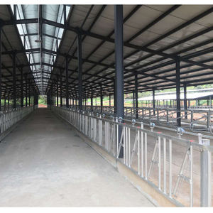 Cow Head-lock per Dairy Farm - Product Image 6