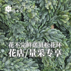 Guirlande de pin frais Ming Flora 80 cm, importée du Danemark, véritable décoration de Noël, cadeau - Product Image 3