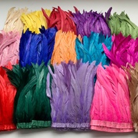 Großhandel Vorgefertigte Gefärbte Hahnenfedern 25-30cm Stoffbesatz DIY Hochzeitsdekoration Rockdekoration Kleid Bühnenkostüm