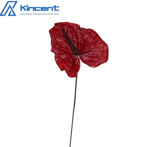 3 pz/5 pz fiori conservati fiori naturali conservati Anthurium veri Fleurs composizioni floreali - Product Image 5