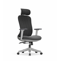Chaise de bureau ergonomique NOEL à dossier haut, design moderne, avec support lombaire 2D, chaise de bureau en maille certifiée BIFMA