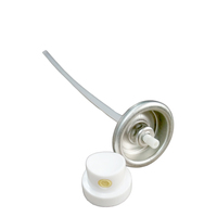 Bouteilles de vin recyclables de 100 ml avec valve aérosol pour décapant de rouille métallique, portables, écologiques et durables, de 1 pouce