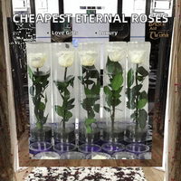 Rose éternelle préservée à tige unique de 30 cm, fleur au toucher réel, pour la Saint-Valentin, Noël, la remise des diplômes, bouquet cadeau