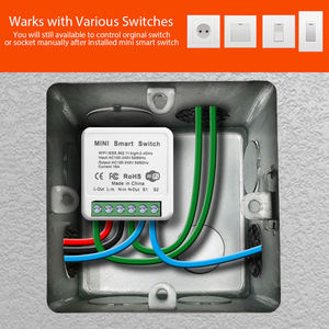 {Manufacturer}Tuya Wifi Smart Home Automation 16A Interrupteur Disjoncteur Télécommande Contrôle Vocal Alexa - Product Image 3