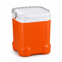 Glacière portable carrée en PE de 15 L, orange vif, de haute qualité, pour camping et pêche – Vente en gros