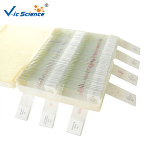 組織学顕微鏡用標本スライド 教育用ガラススライド 組織標本 組織学スライド - Product Image 1