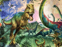 Couverture de dinosaure en polaire douce en polyester 100% cadeau de Noël pour garçons avec motifs d'animaux de dessin animé et de points rayés