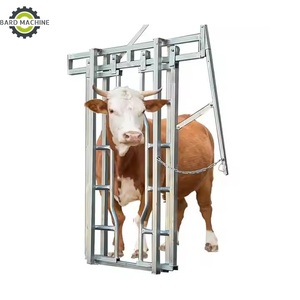 Chute de contention robuste pour bovins avec balance et cadre de maintien pour manutention <span class=keywords><strong>des</strong></span> <span class=keywords><strong>animaux</strong></span>, pour <span class=keywords><strong>ferme</strong></span> d'élevage de bovins - Product Image 1