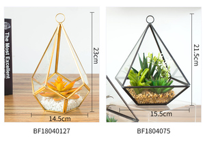 Bombilla <span class=keywords><strong>de</strong></span> lámpara <span class=keywords><strong>de</strong></span> vidrio para colgar en la pared, plantas suculentas artificiales <span class=keywords><strong>de</strong></span> Aloe y suculentas, venta al por mayor - Product Image 6