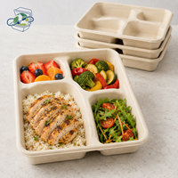 Plateau alimentaire compostable en bagasse à 4 compartiments, compatible micro-ondes, jetable, pour cantine scolaire (vente en gros)
