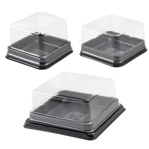 Großhandel 3-Zoll-Mini-Kuchenbox aus PET Kunststoff quadratische Mousse-Kuchenboxen kleiner einzelner Muffin-Dessertt-Kuchenbehälter mit durchsichtigem Deckel