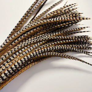 Oferta Especial Plumas <span class=keywords><strong>de</strong></span> Cola <span class=keywords><strong>de</strong></span> Faisán Reeves Natural <span class=keywords><strong>de</strong></span> 140-150 cm <span class=keywords><strong>de</strong></span> Largo para Carnaval, Sombreros <span class=keywords><strong>de</strong></span> Samba y Disfraces <span class=keywords><strong>de</strong></span> Baile - Product Image 2