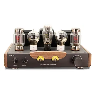 Hi Fi Audio Home Class A Tube Amplifier Parallel Single-ended Tube Hifi Power Amp Bt 5.0