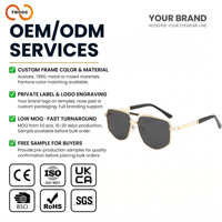 Lunettes de soleil TWOOO T1925 pour hommes, monture métallique double pont, verres PC UV400 anti-reflet, couleur fidèle, tendance, vente en gros directe usine