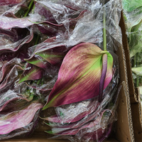G-86-3 Hoogwaardig, zacht aanvoelend, hydraterend Anthurium zacht rubberen bloemstuk in Morandi-stijl