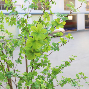 ต้นไม้ประดิษฐ์ QIHAO ขนาด 1.3 ม. 1.8 ม. 2.05 ม. ต้นไทรพลาสติกเสมือนจริงสำหรับตกแต่งบ้านและงานแต่งงาน - Product Image 4