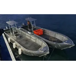 Boat Manufacturer 10m 33ft Yacht Center Console Hard T-Top Fishing Working Boat