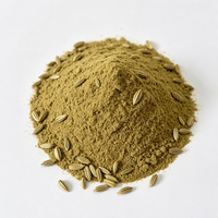 Fabricant chinois de poudre de fenouil pure naturelle de haute qualité, prix de gros, épices en vrac pour assaisonnement de viande
