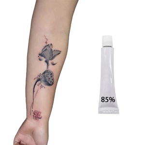 สีสักคุณภาพสูงปรับแต่งได้สำหรับการแต่งหน้าถาวร ครีมผงสัก 85% - Product Image 1