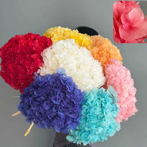 Hydrangea à longue tige, grande feuille préservée, tête de fleur de 25 cm, multicolore, fleur d'<span class=keywords><strong>hortensia</strong></span> séchée, matériau pour bouquet de mariage - Product Image 3