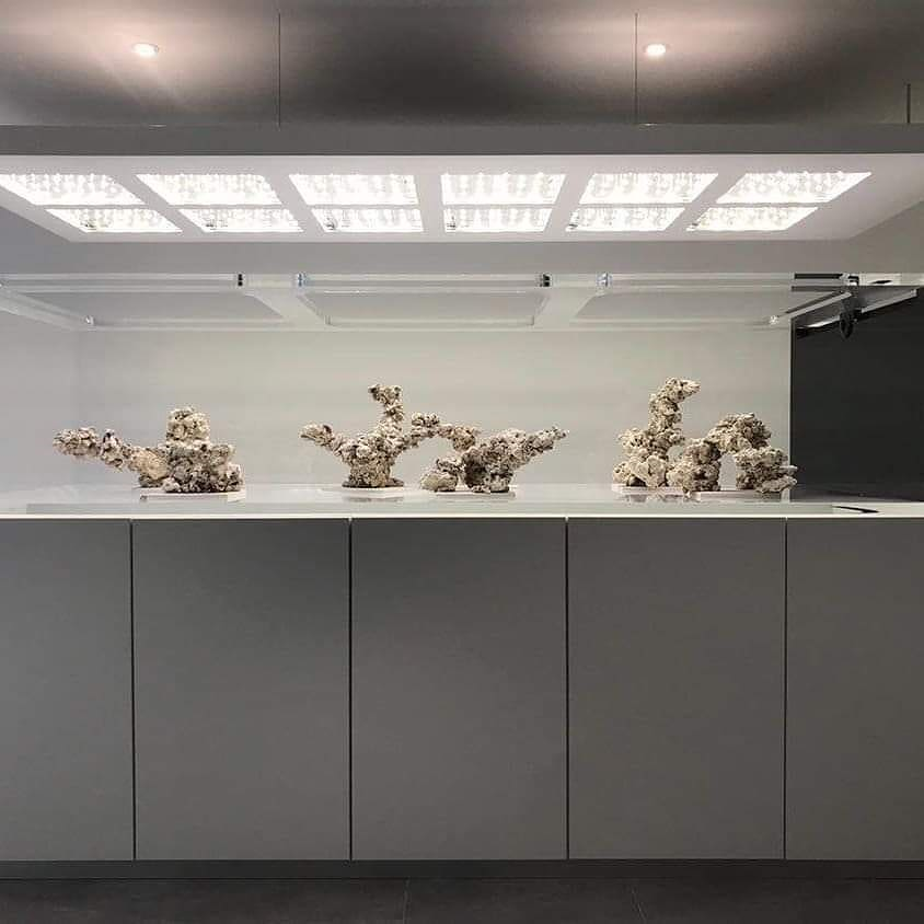 โปร่งใส