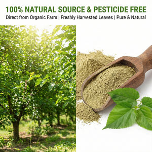 天然桑の葉エキス 食品グレード 高含有量 <span class=keywords><strong>DNJ</strong></span> フラボノイド 食用 低血糖作用 脂質低下作用 健康食品グレード パウダー - Product Image 3