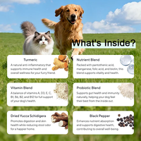 Friandises pour animaux de compagnie personnalisées en gros OEM : Compléments probiotiques à mâcher pour chiens et chats, favorisant la santé digestive et immunitaire