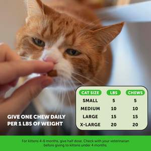 Golosinas Masticables Crujientes y Cremosas para la Salud del Tracto Urinario de Gatos OEM/ODM con Arándano, Digestión Saludable, Suplemento para el Soporte de Riñones y Vejiga - Product Image 4