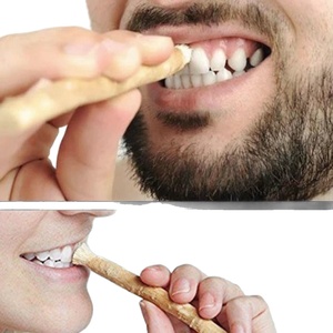Spazzolino Manuale Tradizionale Mediorientale <span class=keywords><strong>Miswak</strong></span> con Ramo per la Pulizia dei Denti - Vendita all'Ingrosso - Product Image 5