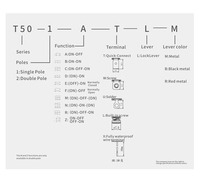 TOOWEI DPDT 15A 12V On/Off/On Levier étanche Anti mauvaise manipulation Verrouillage Interrupteur à bascule