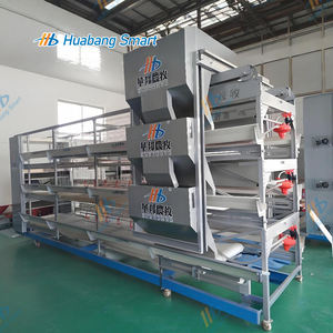 Cage pour poulets de chair en acier galvanisé à chaud durable avec système d'alimentation et d'<span class=keywords><strong>arrosage</strong></span> <span class=keywords><strong>automatique</strong></span> avancé - Product Image 5