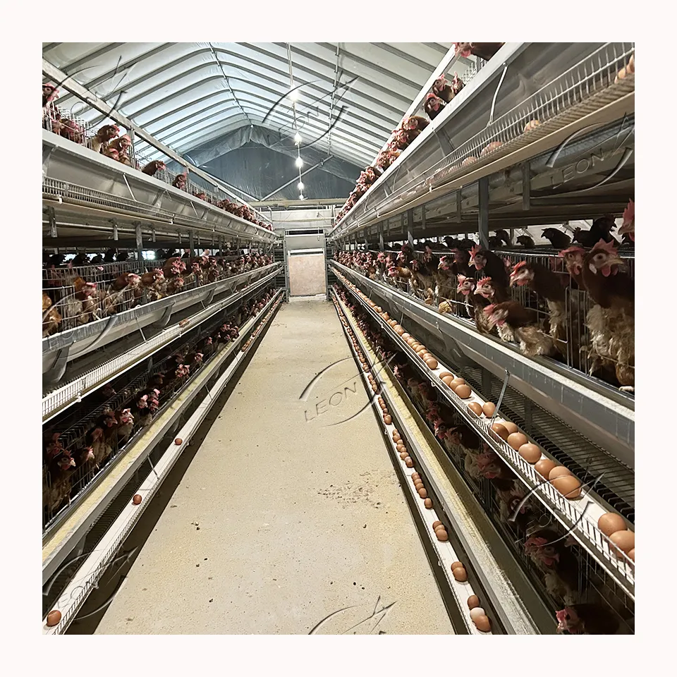 سعر منخفض نوع H زرع البيض الدجاج تشغيل قفص البطارية مع سقف في سينيغار
