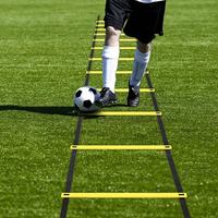 Ensemble d'Équipement d'Entraînement de Football Équipé pour Campus Intérieur : Matériel de Basket-ball et Football avec Échelles d'Agilité